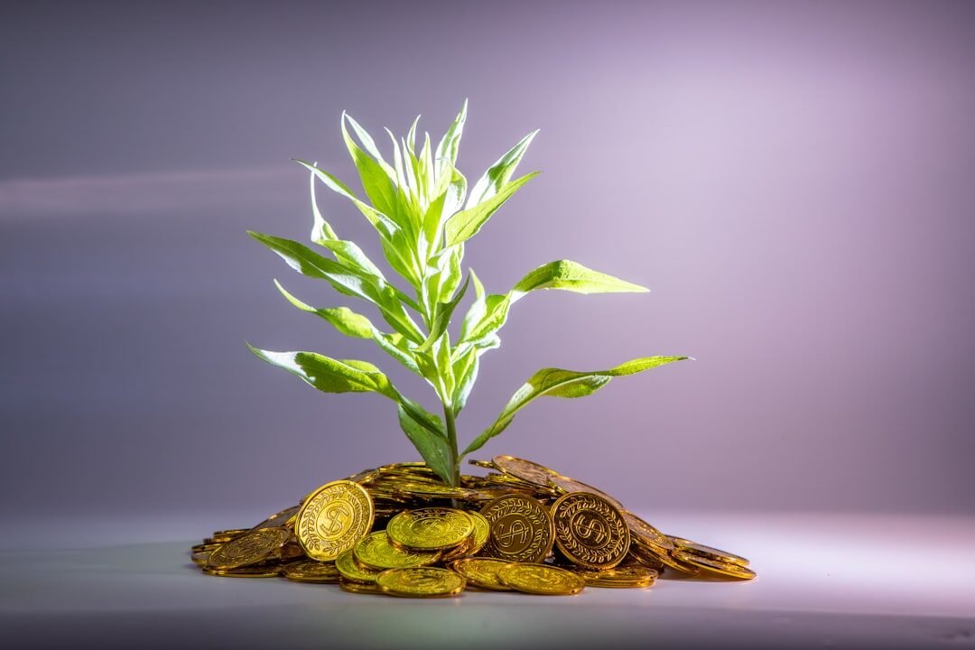 Een groene plant die groeit uit een stapel gouden munten tegen een effen achtergrond, symbool voor financiële groei of investering.